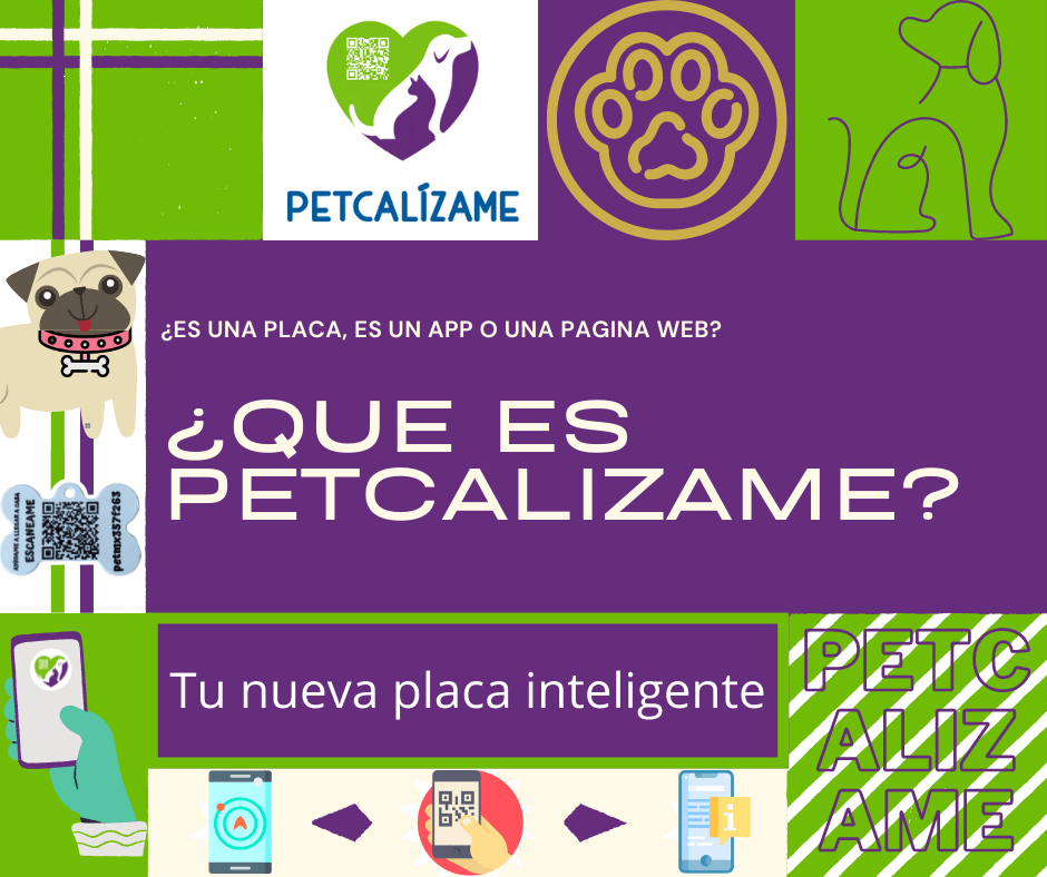 ¿Que es petcalizame?